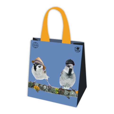 Torba PP wielokrotnego użytku PTASZKI 38x40x22