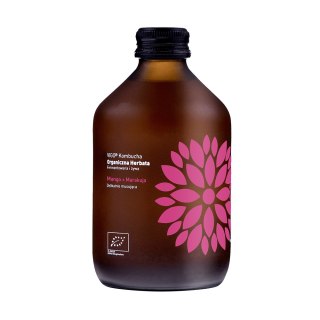 LUZ: VIGO KOMBUCHA Longbrew BIO Mango + Marakuja 330 ml